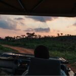 Durban: Big 5 Luxury Safari at an Award Winning Game Reserve  Zeiss Binoculars - Who Should Consider This Safari?