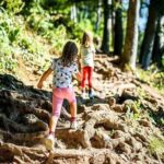 Durmitor National Park hiking tour - easy to moderate - What the Tour Includes and What It Doesn’t