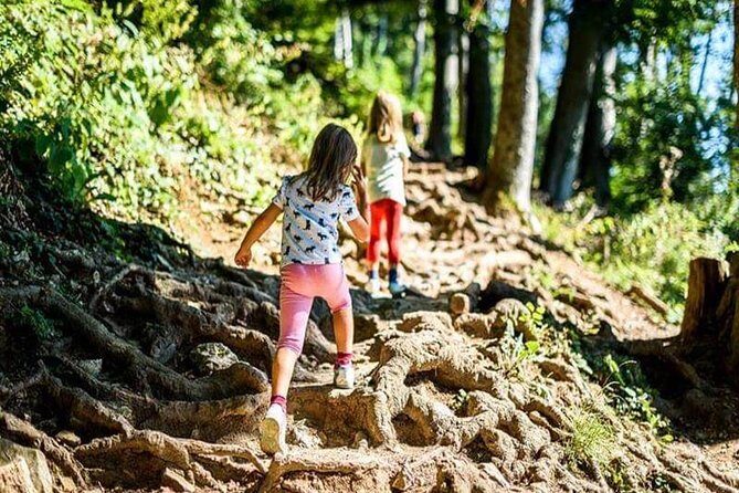 Durmitor National Park hiking tour - easy to moderate - What the Tour Includes and What It Doesn’t