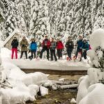 Durmitor National Park: Snowshoe Tour Black & Zminje Lake - The Experience and Reviews