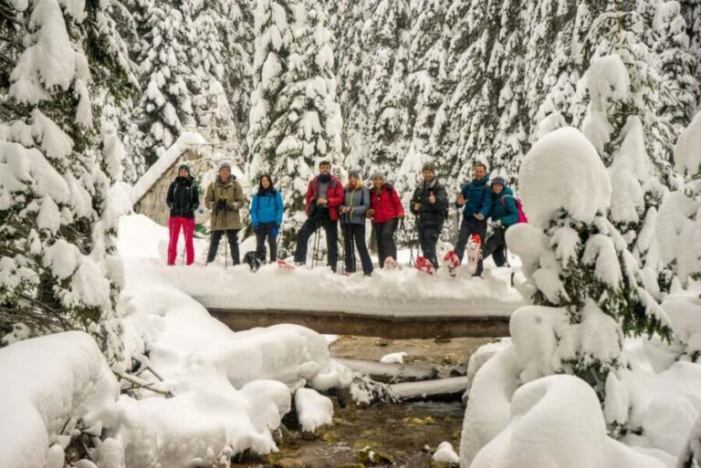 Durmitor National Park: Snowshoe Tour Black & Zminje Lake - The Experience and Reviews
