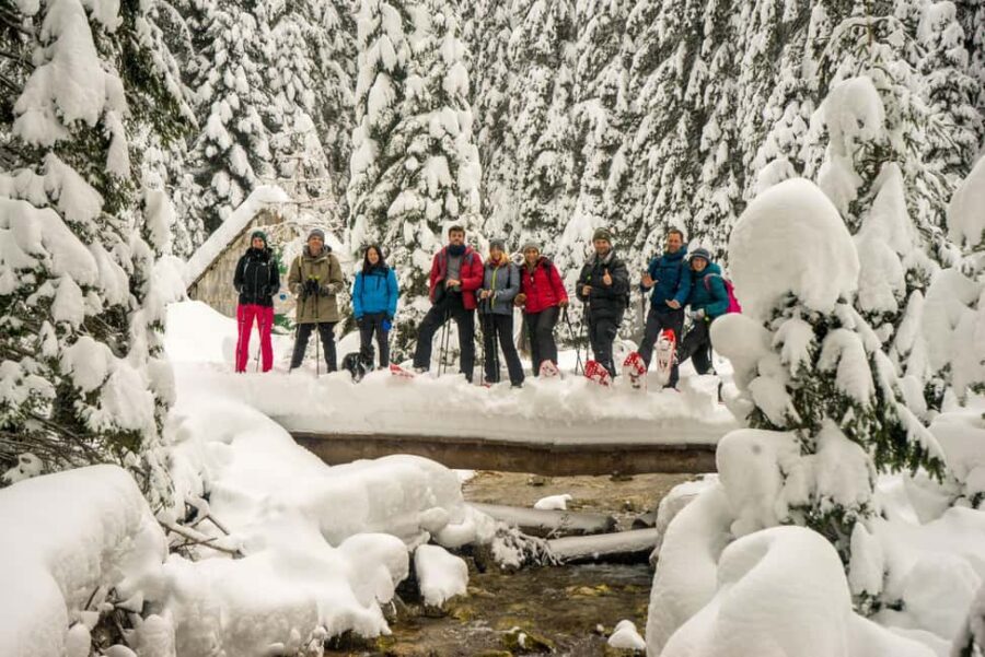 Durmitor National Park: Snowshoe Tour Black & Zminje Lake - The Experience and Reviews