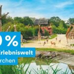 DüsseldorfCard Plus - In-Depth Look at the Experience