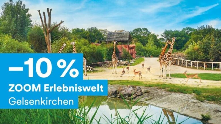 DüsseldorfCard Plus - In-Depth Look at the Experience