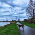 Dutch Windmills & Polder Walking Tour - Frequently Asked Questions