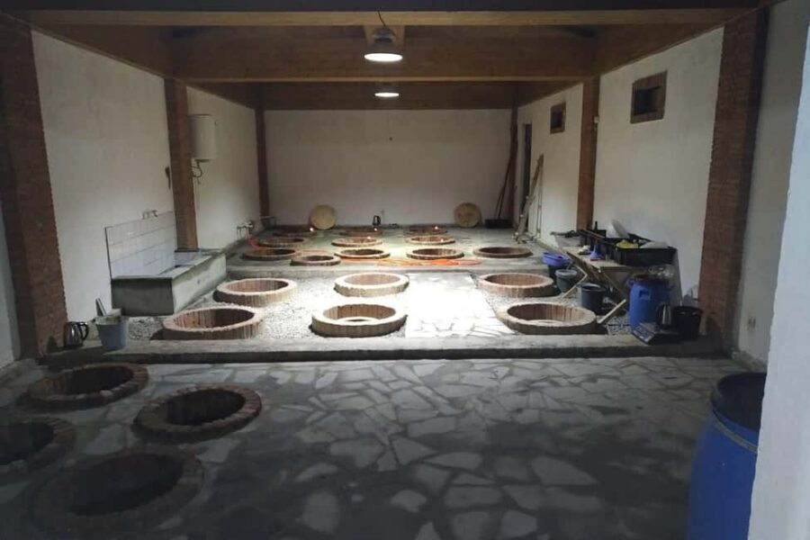 Dzegvi/Tbilisi: Winery Tour with Wine Tasting and Lunch - The Experience Provider & Logistics