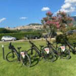 E-bike Citybike Rental - full day - Why This Experience Could Be a Great Choice