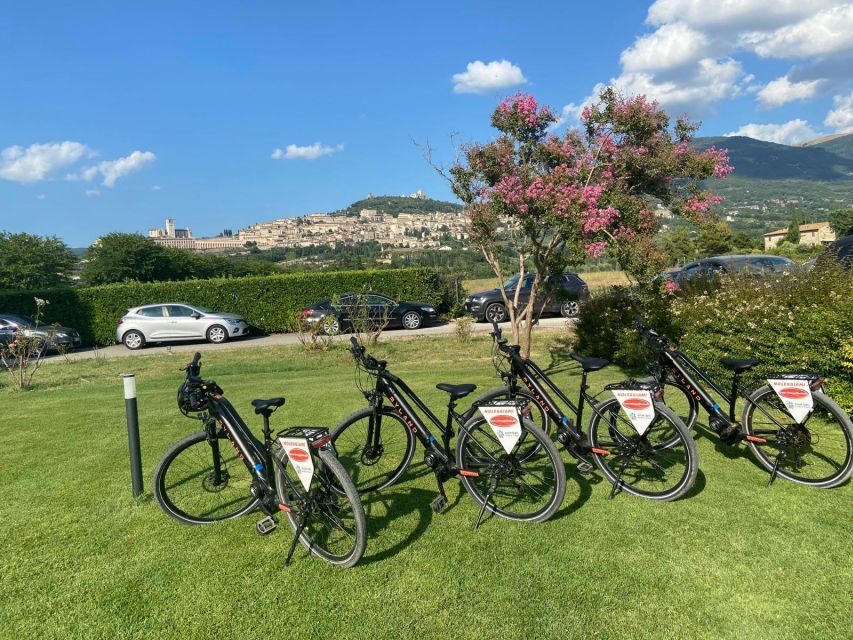 E-bike Citybike Rental - full day - Why This Experience Could Be a Great Choice