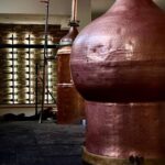 E-bike-Full Day- Olive oil Factory & Wine Tasting - Who Is This Tour Perfect For?