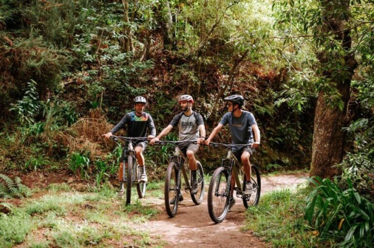 E-Bike Guided Tour - Mountain biking experience - The Bikes and Equipment