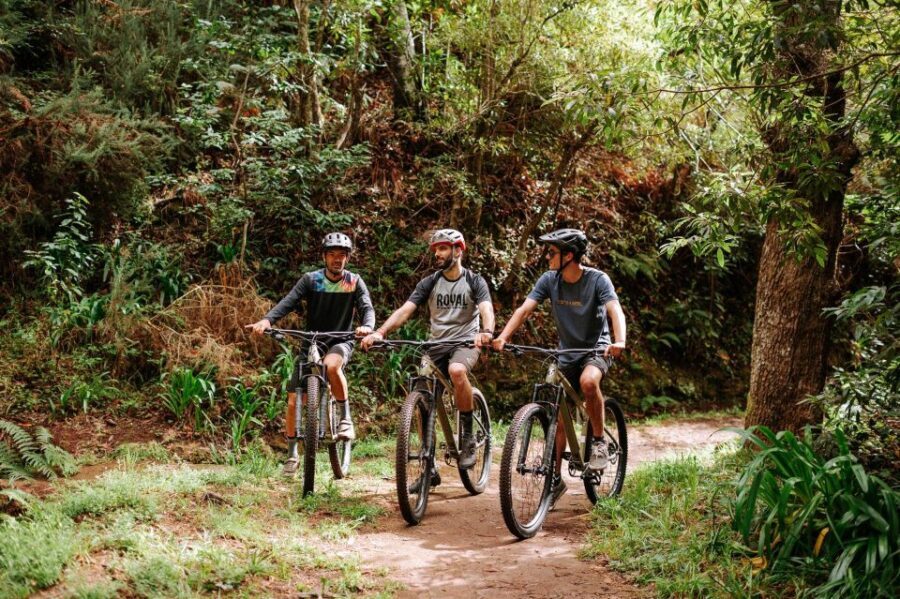 E-Bike Guided Tour - Mountain biking experience - The Bikes and Equipment