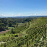 E-Bike Rental in Roero - The Bottom Line