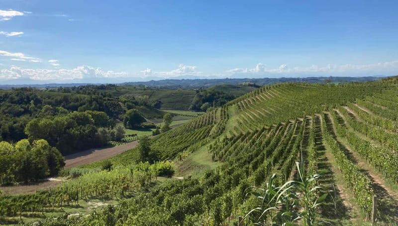 E-Bike Rental in Roero - The Bottom Line