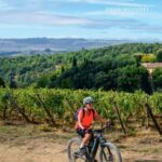E-bike ride and tasting - The Value of This Tour