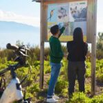 E-bike Ride & Taste: Vesuvian Vineyards & Doc Flavors - The Vineyard Tour and Campanian Lunch
