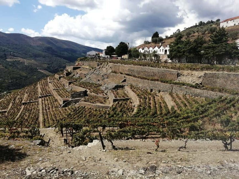e-Bike Through Douro Valley Wine Region for Half Day Tour - Discovering the Douro Valley by e-Bike: An In-Depth Look