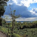 E-Bike Tour and Wine Tasting from Bardolino - Final Thoughts