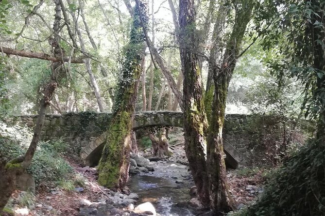 E-bike tour from Omodos to Milomeris Waterfall-Milia Bridge through Platres. - Key Points