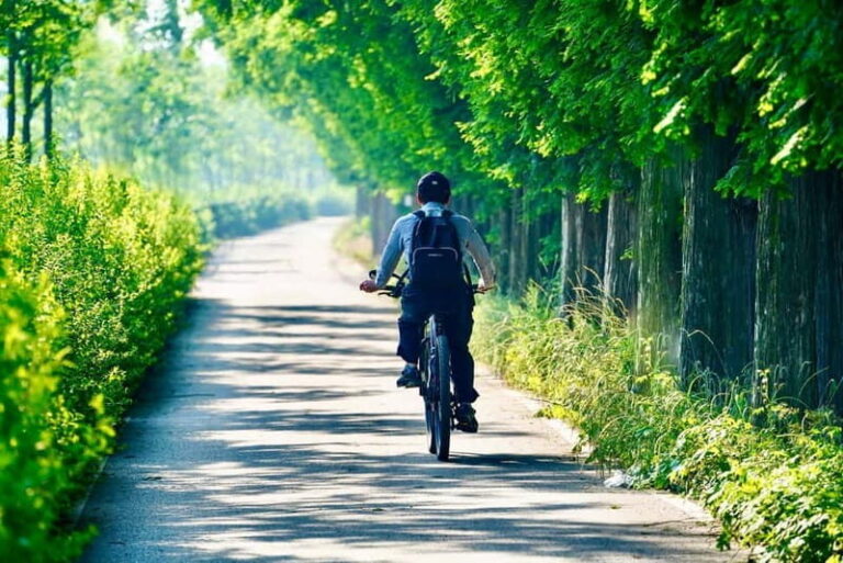 E-Bike Tour from Ventimiglia: Dolceacqua & Rocchetta Rivers - The Premium Gourmet Option