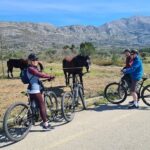 E-Bike Tour + Gourmet Snack + Wine Tasting (Small Group) - FAQs About the Dubrovnik E-Bike Tour