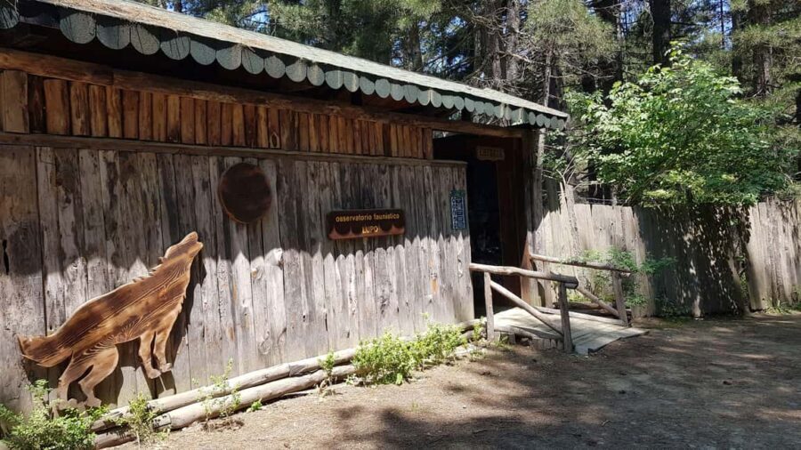 E-bike tour in Sila and tasting of typical products - The Practical Details