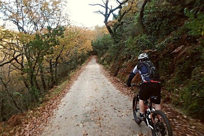 E-bike Tour: Peneda Geres National Park - Serra Amarela - Authentic Traveler Feedback
