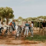 E-bike tour & Picnic in an Exclusive winery Estate - The Details: How the Tour Works