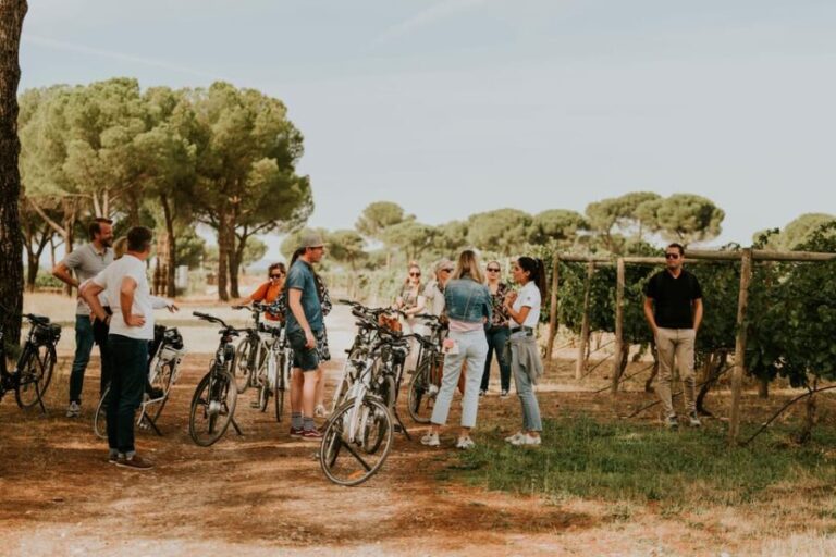 E-bike tour & Picnic in an Exclusive winery Estate - The Details: How the Tour Works