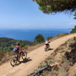 E-bike tour to Capoliveri in the Costa dei Gabbiani Private Property - Analyzing the Value