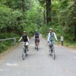 E.Bike Tours around Heidelberg - Who Would Love This Tour?