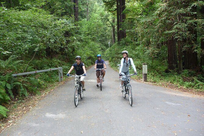 E.Bike Tours around Heidelberg - Who Would Love This Tour?