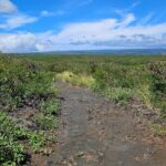 E-Mountain Bike Tour in South Point Hawaii - The Trail and Scenic Highlights