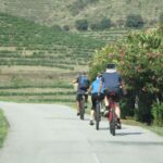 E-MTB - Vineyards Douro Tour - Practical Considerations