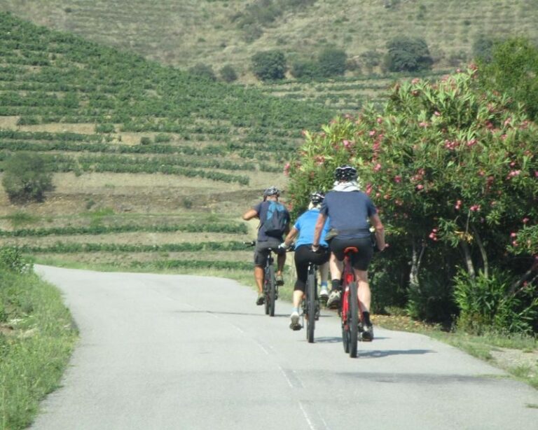 E-MTB - Vineyards Douro Tour - Practical Considerations