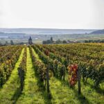 E-Scooter Private Tour and Tasting - Real Traveler Insights