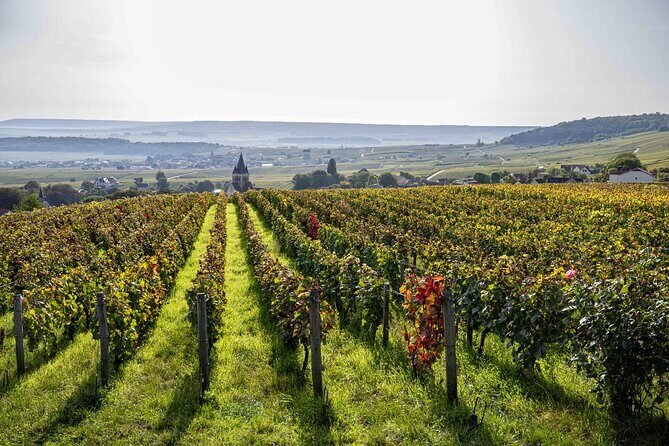 E-Scooter Private Tour and Tasting - Real Traveler Insights