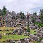Eagle - Taz Canyon - Selge Ancient City & Man Rocks Tour - Practical Aspects & What to Expect