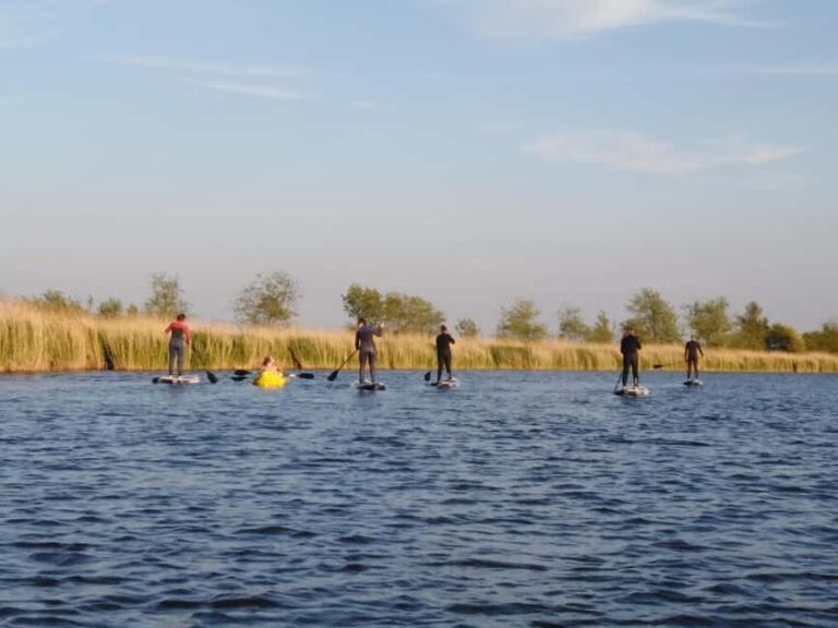 Early Bird Standup Paddletour to Fishing Harbours - Why This Tour Delivers Value