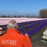 Early Flower fields with Lunch & Windmill Guided Day Tour - Is It Worth the Price?