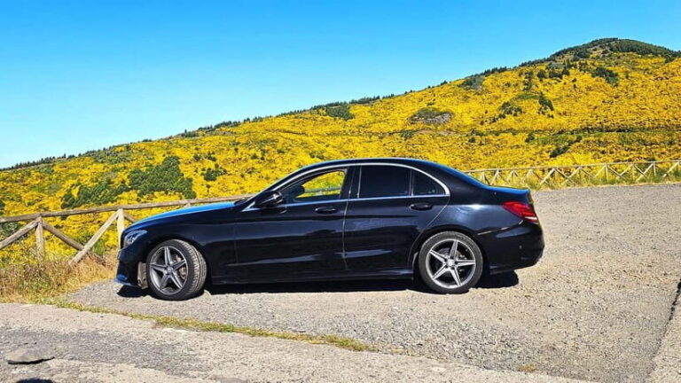 East Madeira: Private Tour with Views & History - Scenic Highlights and Unique Stops