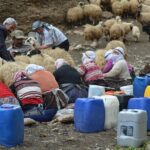 Eastern Turkey 12-Day Sightseeing Tour from Trabzon - Who Should Consider This Tour?