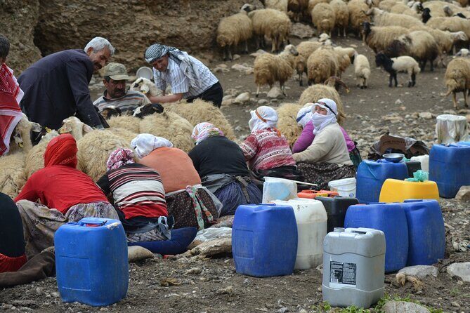 Eastern Turkey 12-Day Sightseeing Tour from Trabzon - Who Should Consider This Tour?