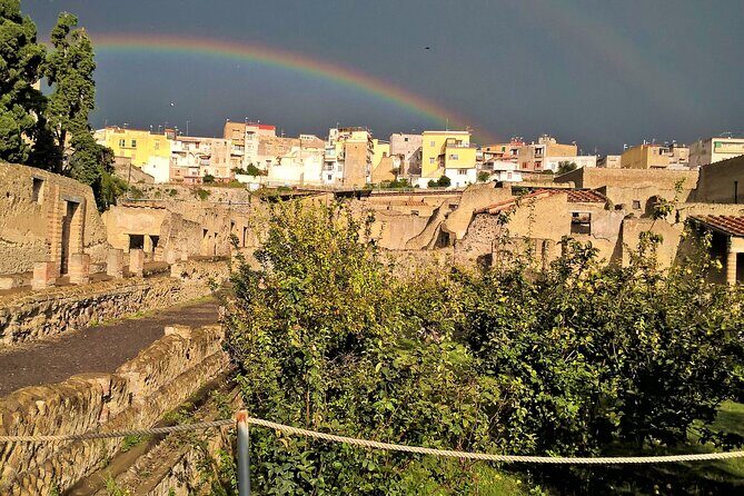 Easy Hercunaleum - Private tour (skip-the-line) - An In-Depth Look at the Herculaneum Private Tour