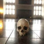 Easy Pace Tour of Kronbog Castle & Frederiksborg Palace W - The Castles and Towns: What Makes Them Special