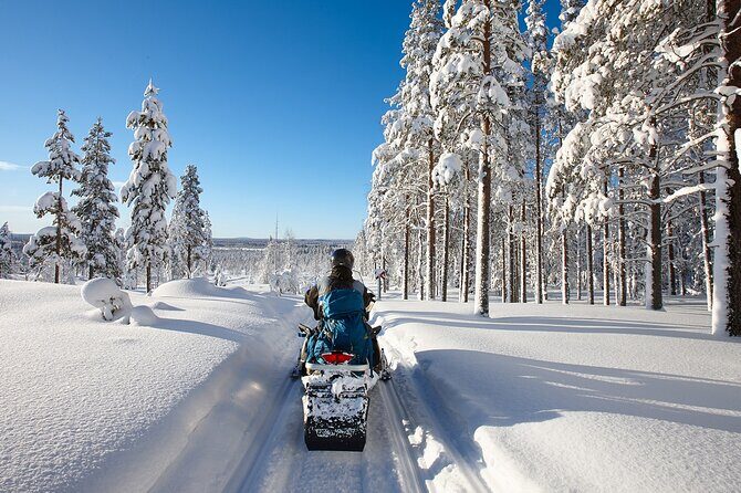 Easy Snowmobile Safari - Authentic Feedback from Participants