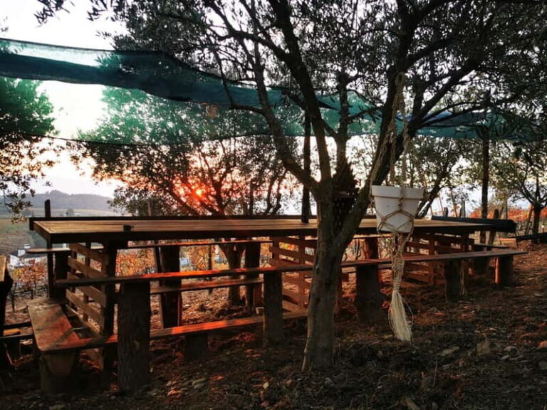 Eat in the vineyards like a Duriense - The experience’s structure