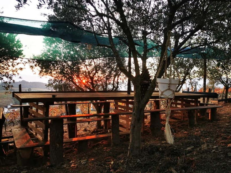 Eat in the vineyards like a Duriense - The experience’s structure