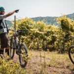 eBike Rental in Montefiascone/Lake Bolsena - Why Rent an eBike in Lake Bolsena?