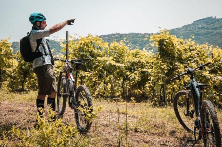 eBike Rental in Montefiascone/Lake Bolsena - Why Rent an eBike in Lake Bolsena?
