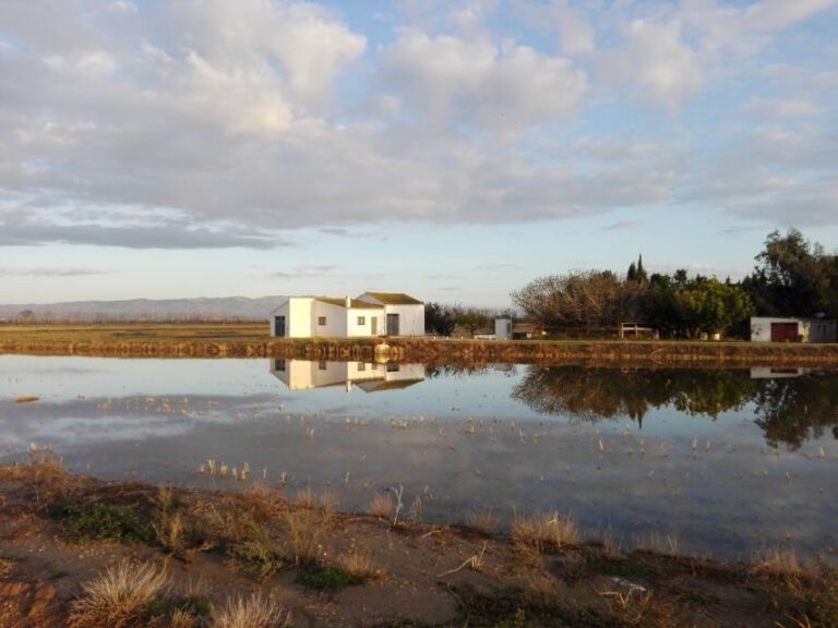 Ebro Delta: Northern Delta Guided Tour with a Local - How the Tour Is Structured